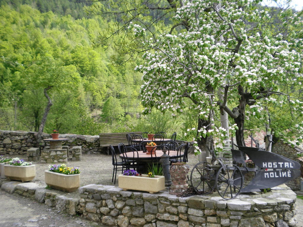 Hostal Moline Bruguera المظهر الخارجي الصورة